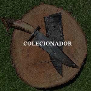 COLECIONADOR